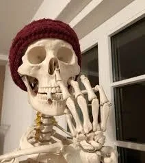 ảnh skeleton meme
