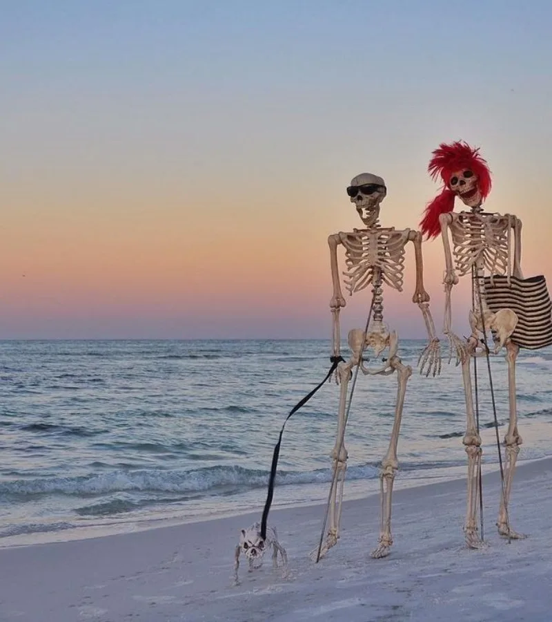 skeleton meme