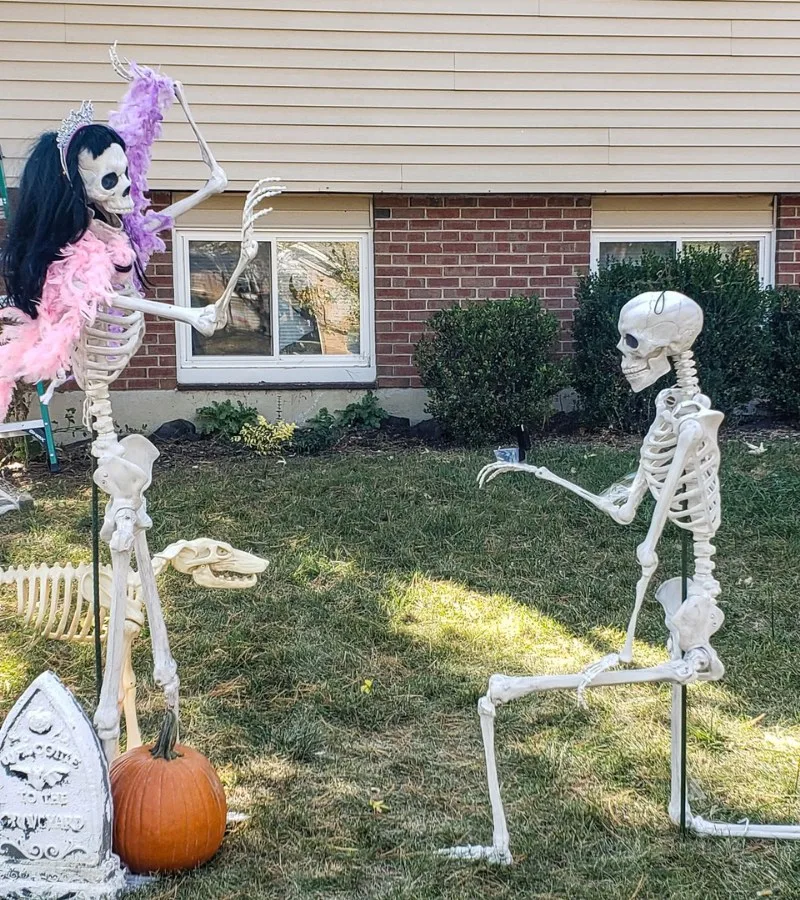 skeleton meme