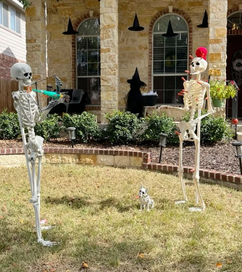 meme skeleton
