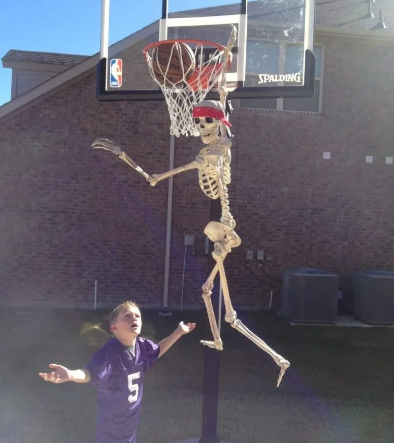 skeleton meme
