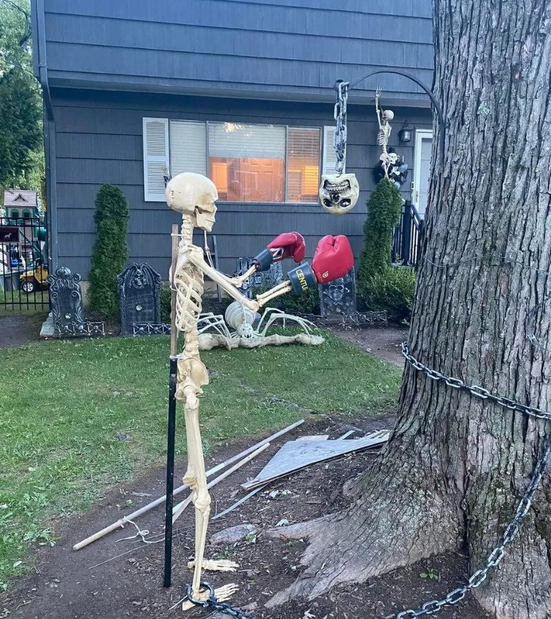 meme skeleton