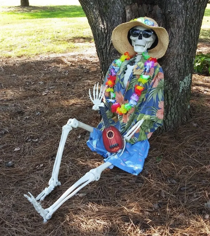 skeleton meme
