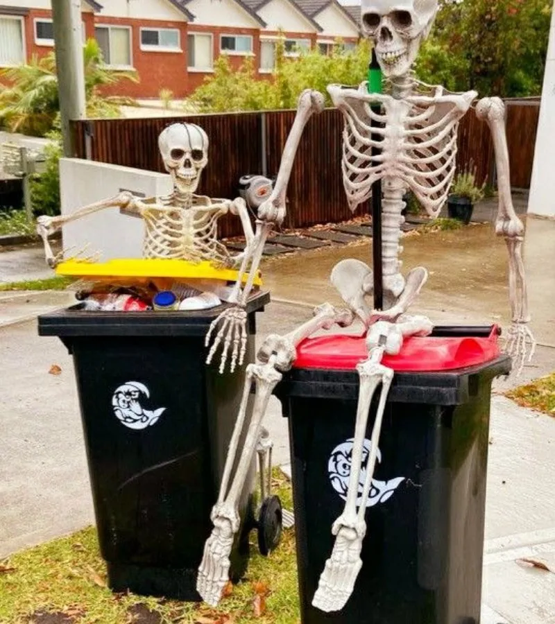meme skeleton