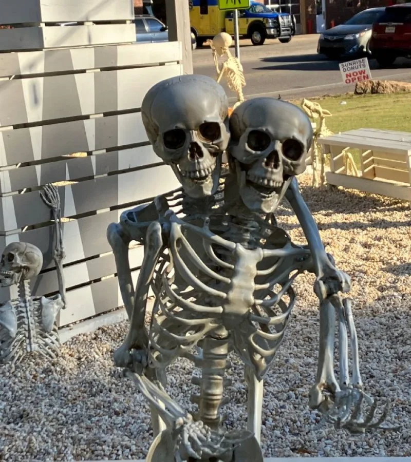 ảnh skeleton meme