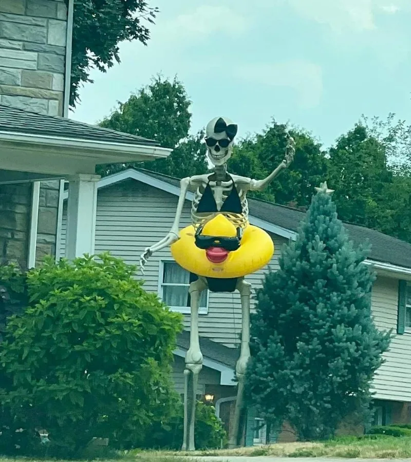 skeleton meme