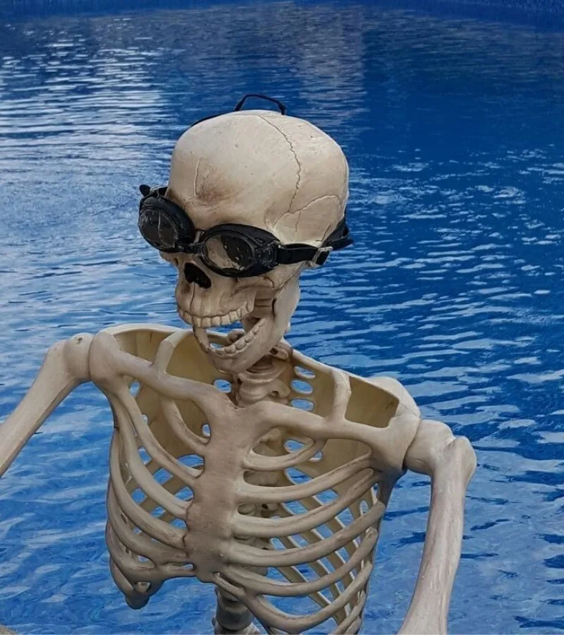 skeleton meme