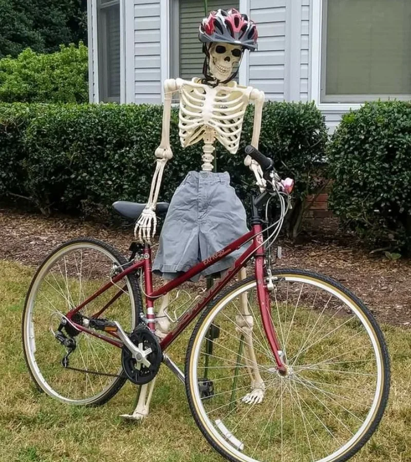 skeleton meme