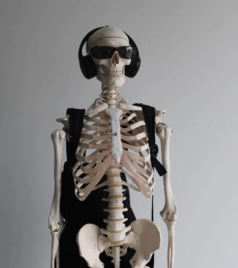 ảnh skeleton meme