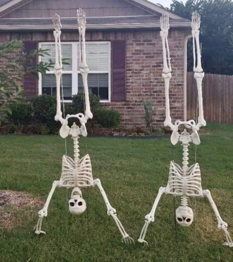skeleton meme