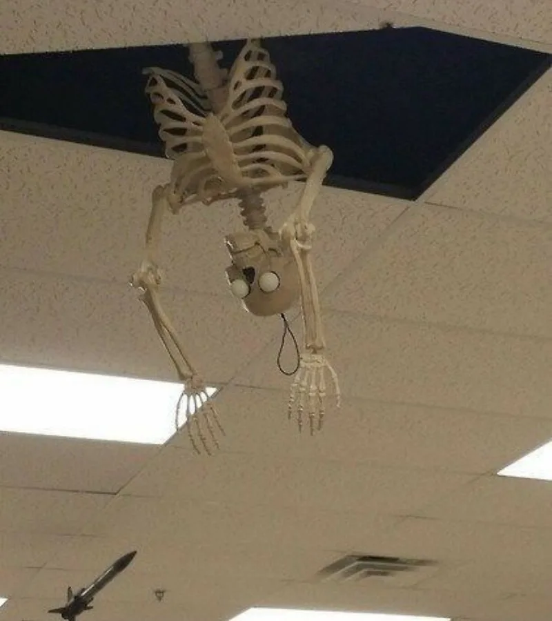 meme skeleton