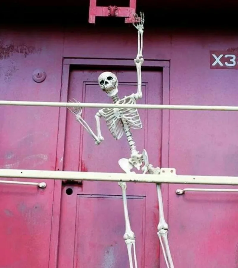 meme skeleton