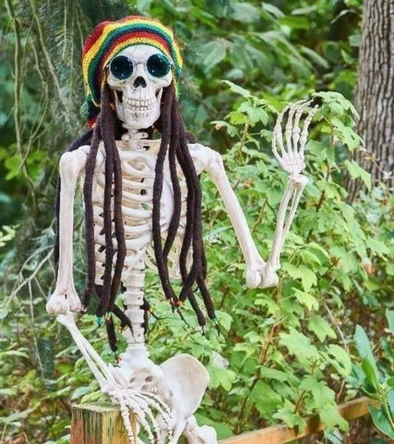 ảnh skeleton meme