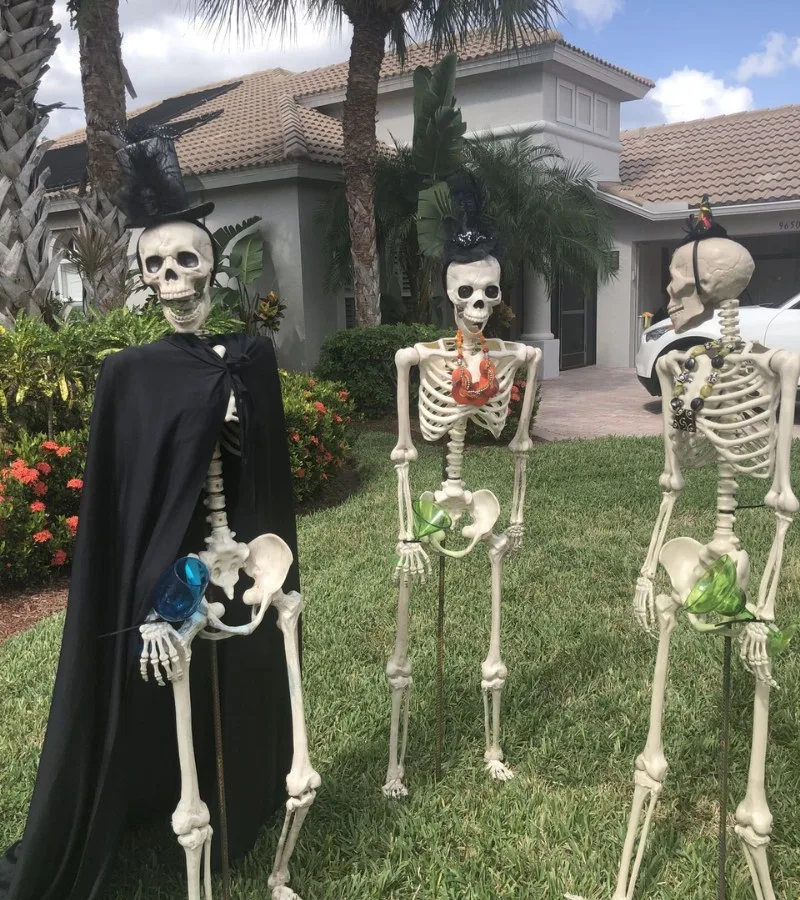skeleton meme