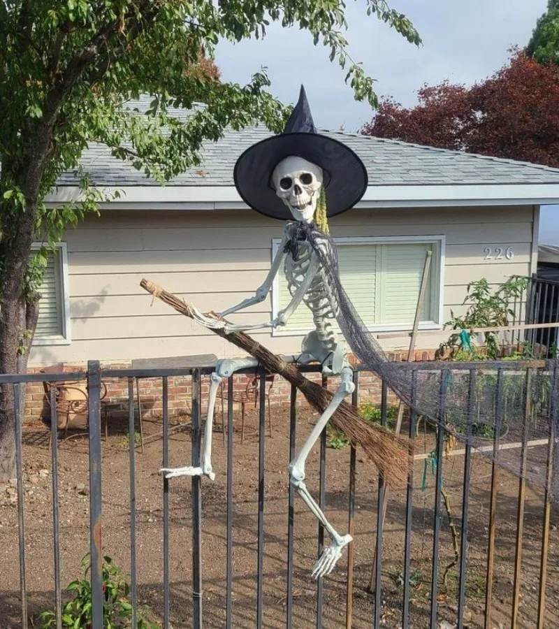 skeleton meme