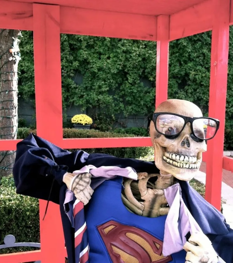 ảnh skeleton meme
