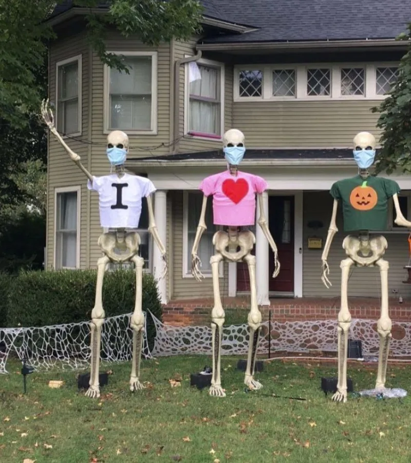 meme skeleton