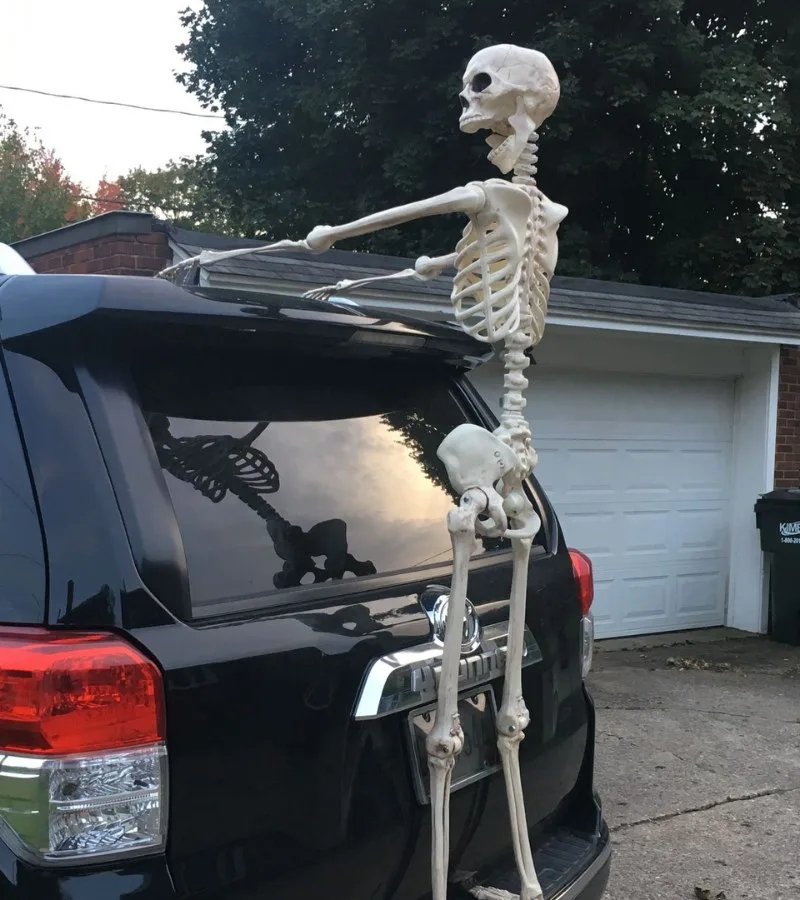meme skeleton