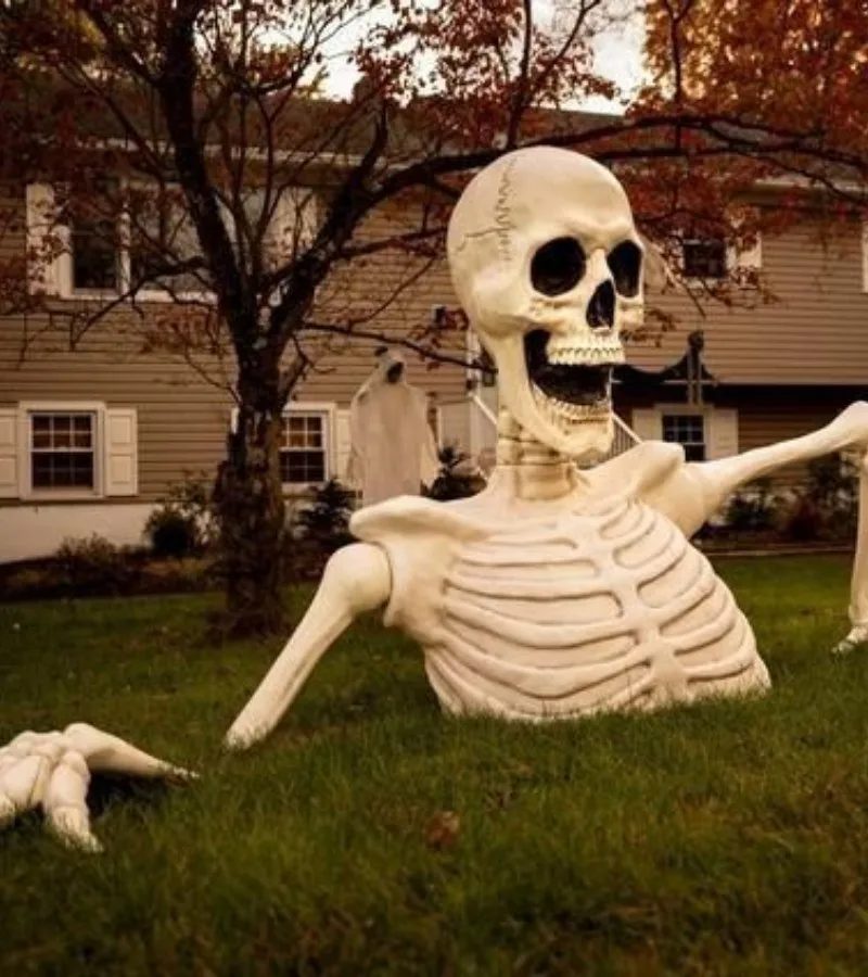 skeleton meme