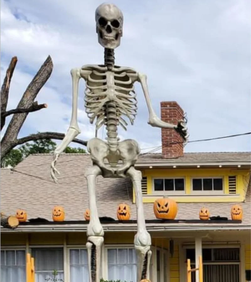 skeleton meme