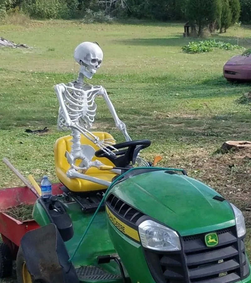 meme skeleton