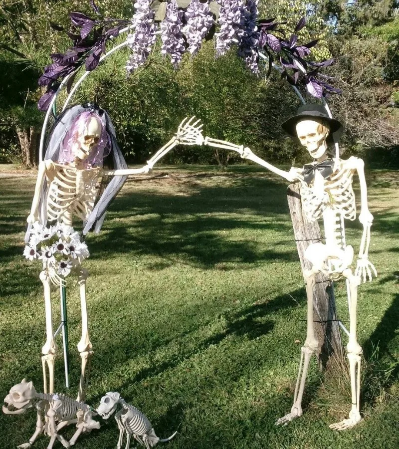 skeleton meme