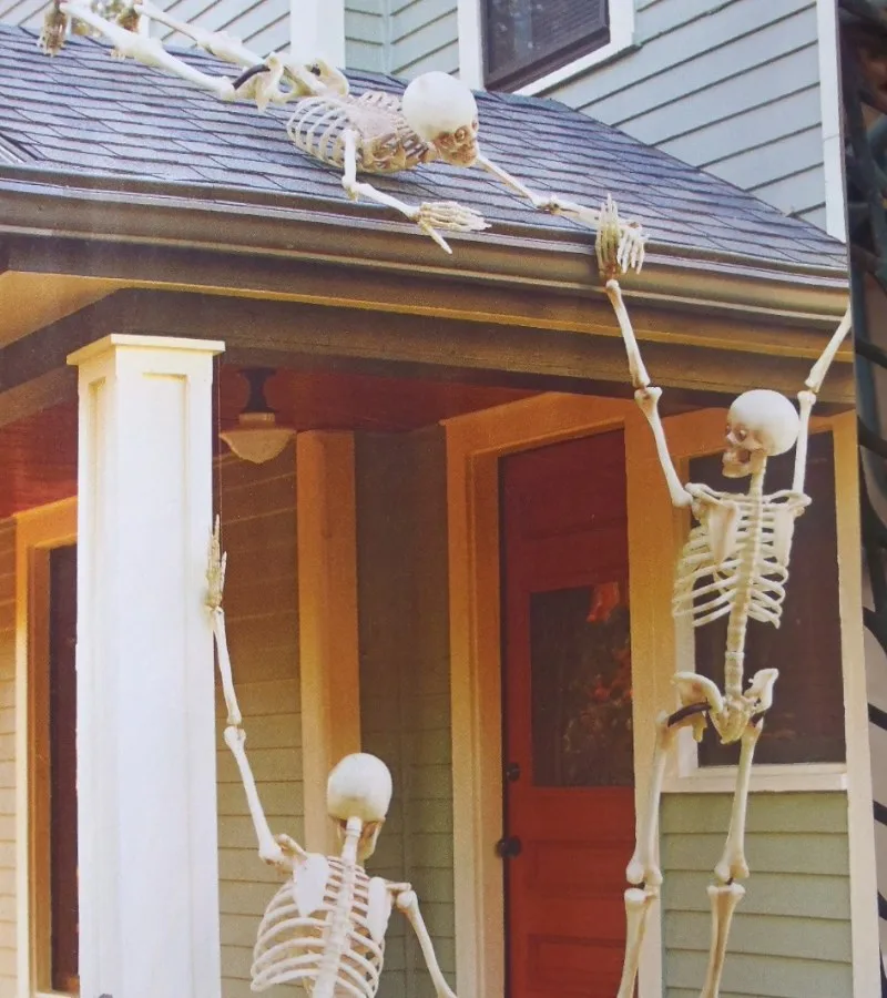 meme skeleton