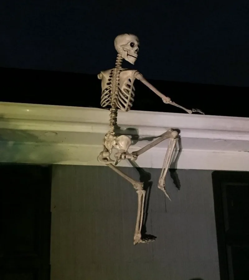 meme skeleton