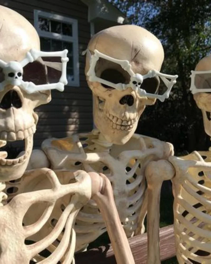 ảnh skeleton meme