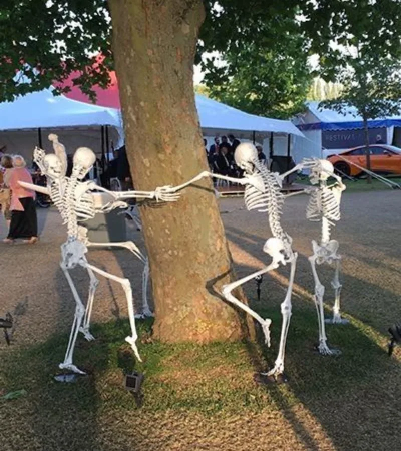 skeleton meme