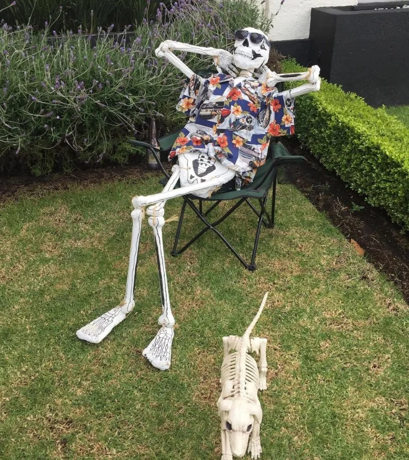 meme skeleton