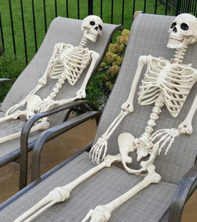 skeleton meme