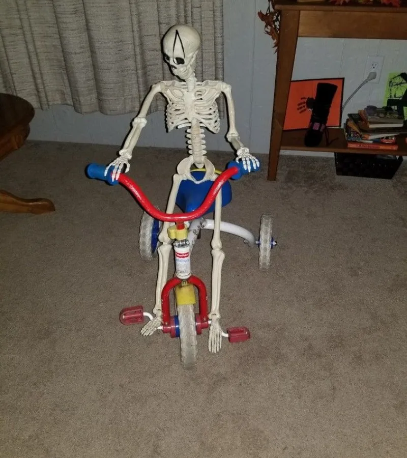 skeleton meme