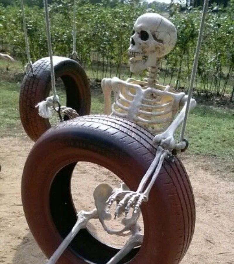 skeleton meme