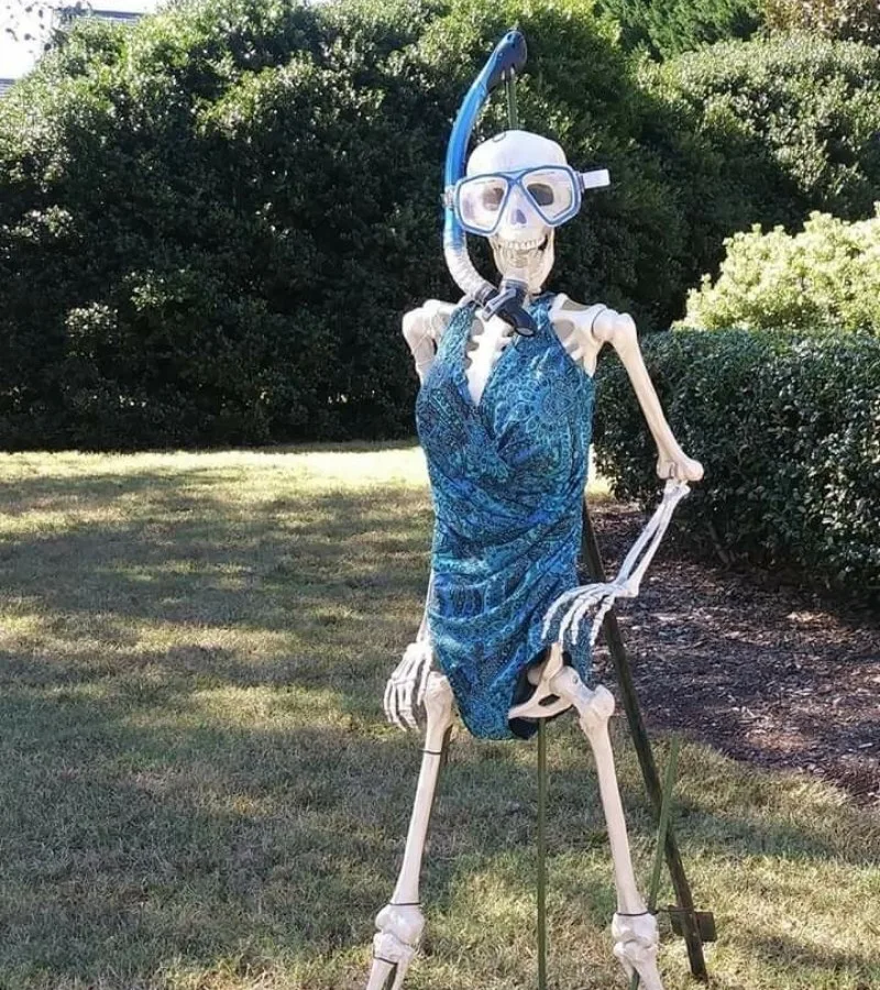 skeleton meme