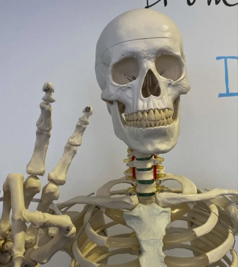 ảnh skeleton meme