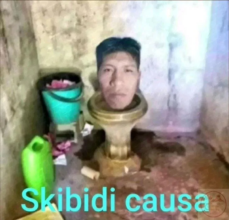 meme skibidi toilet