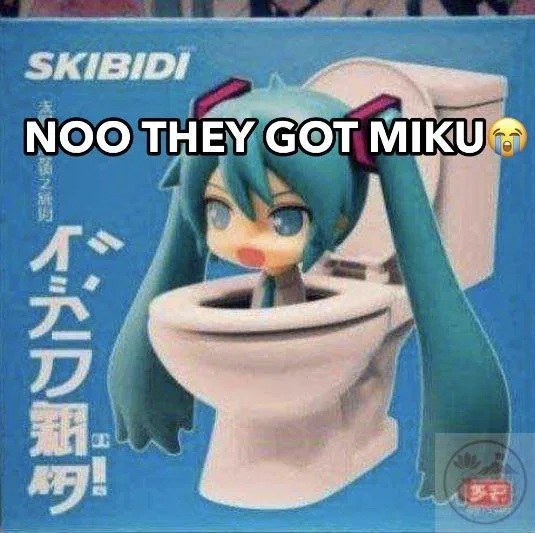 skibidi meme