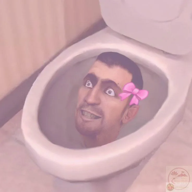ảnh skibidi toilet meme