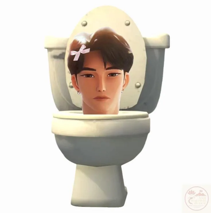 meme skibidi toilet