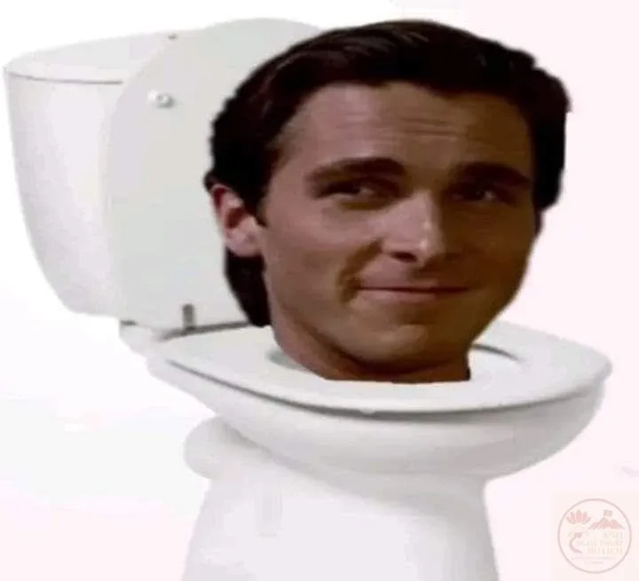 meme skibidi toilet