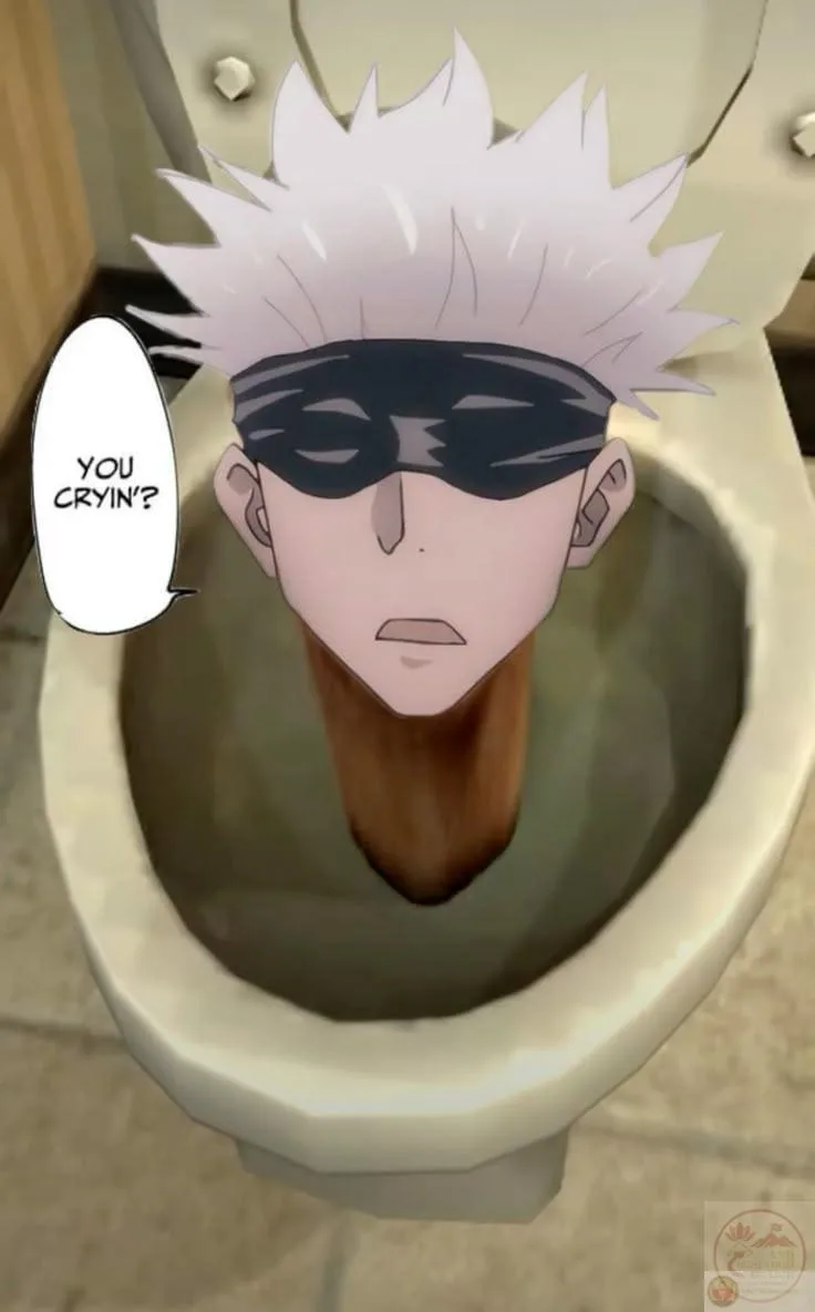 skibidi meme