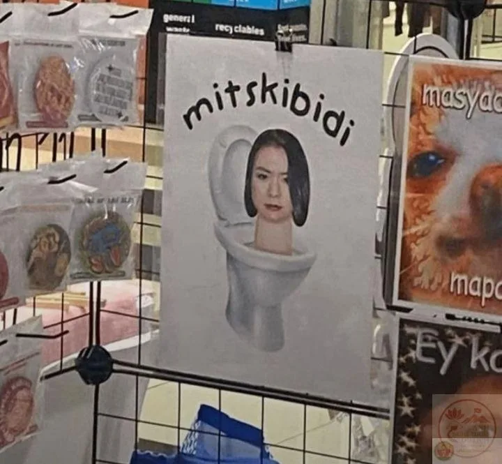 meme skibidi toilet
