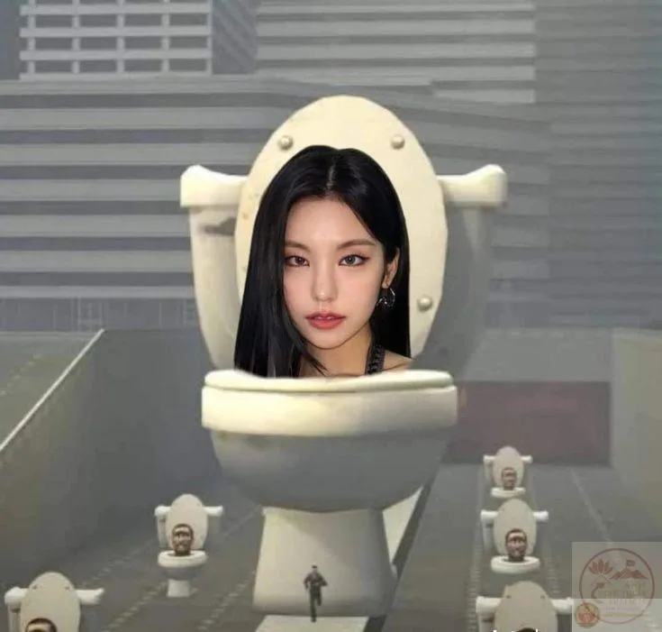 meme skibidi toilet