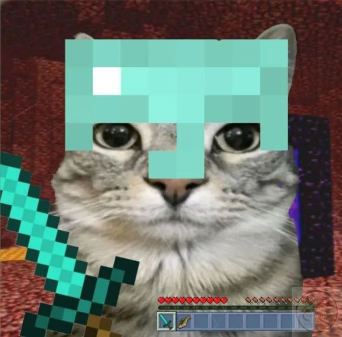 skin minecraft meme