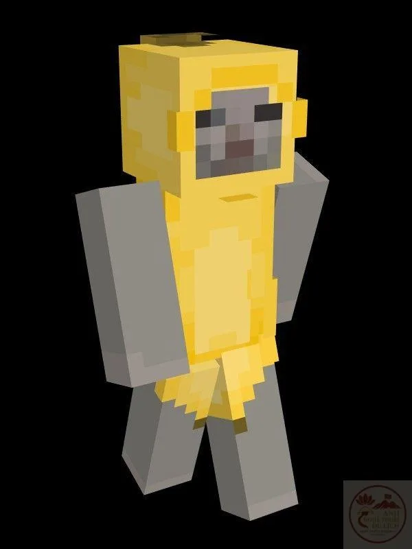 skin minecraft meme