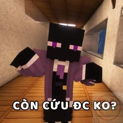 meme minecraft vn