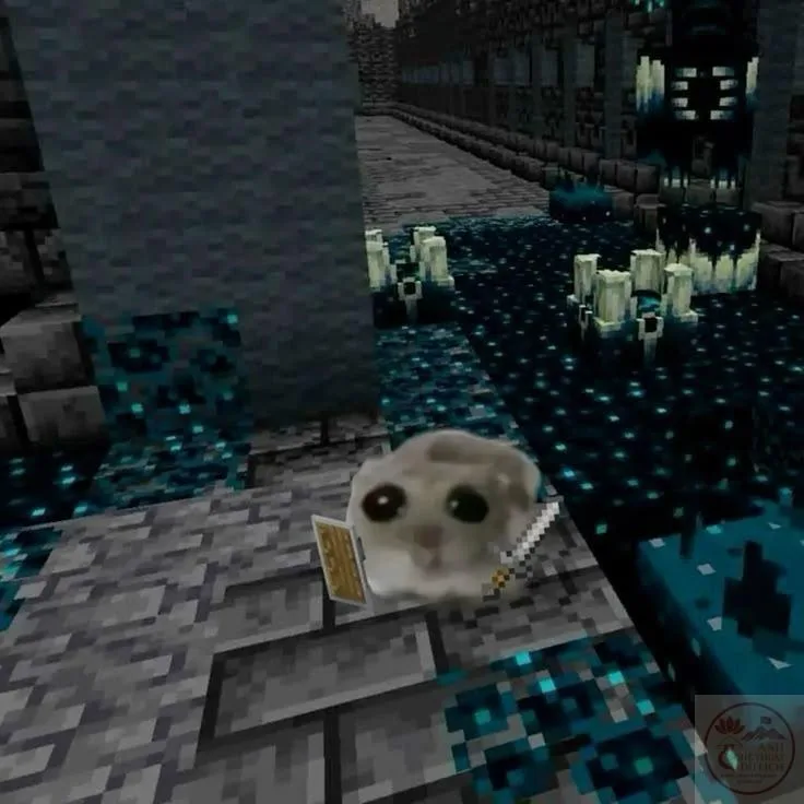 skin minecraft meme