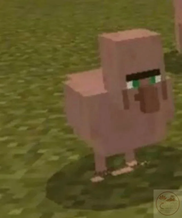 skin minecraft meme