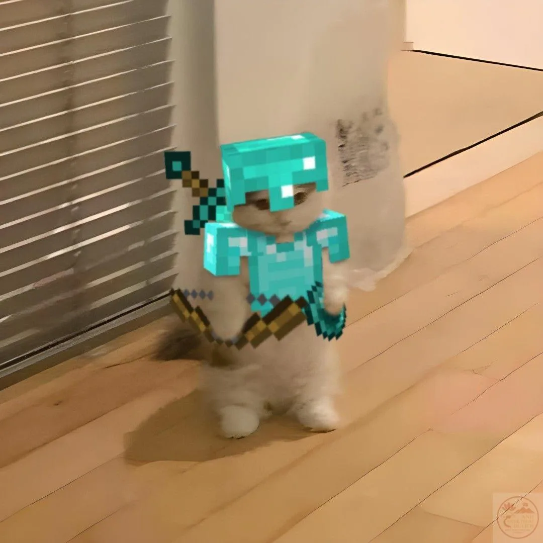 skin minecraft meme